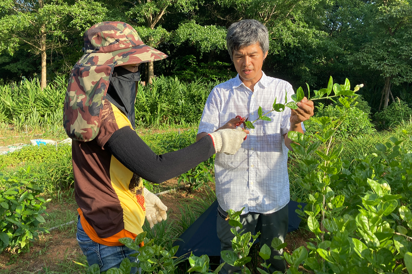 姚哲輝老師（右）與戶外教育志工分享植物種植及照護技巧（董嘉惠攝）