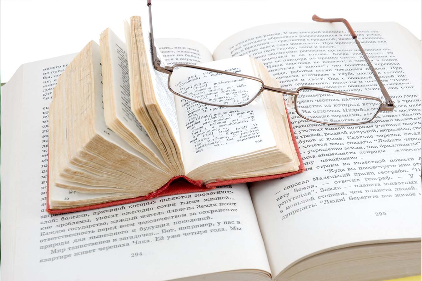 自然教科書使用的詞語有落差嗎？